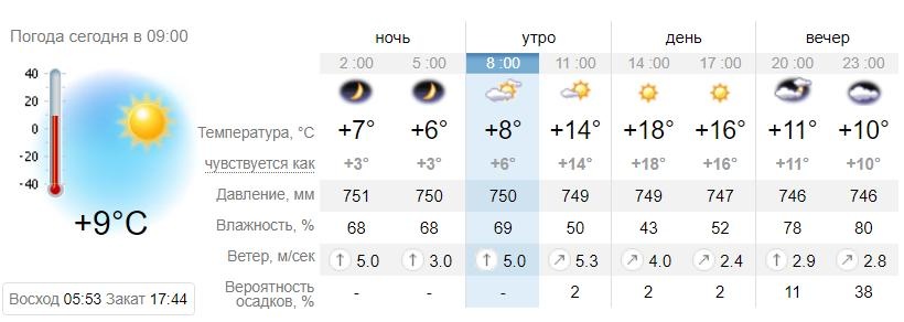 Погода в Запорожье 13 марта / sinoptik.ua