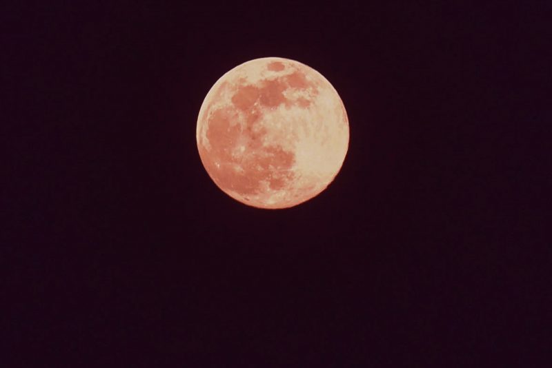 розовая луна