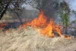 Пожары в экосистемах