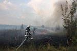Пожары в экосистемах
