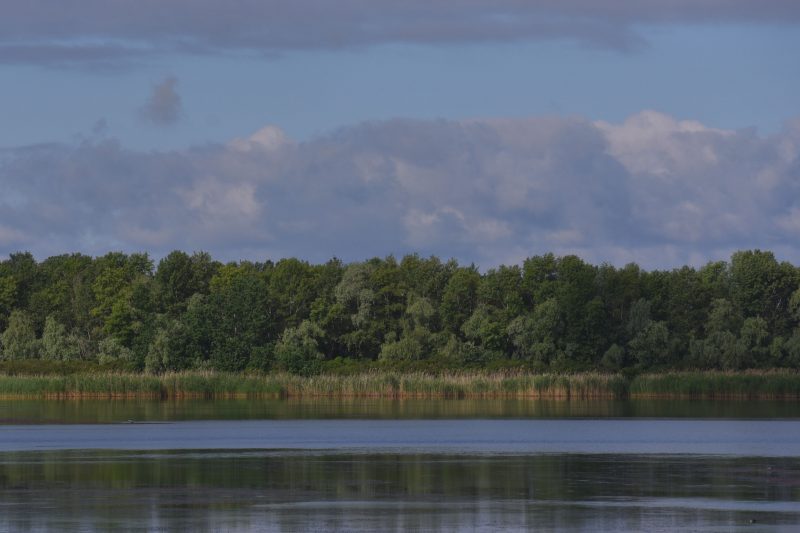 Красота запорожских плавней в первые летние дни - фото