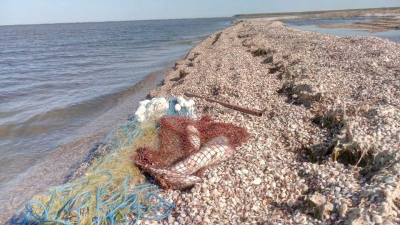 В Азовском море браконьеры ловили рыбу сетями
