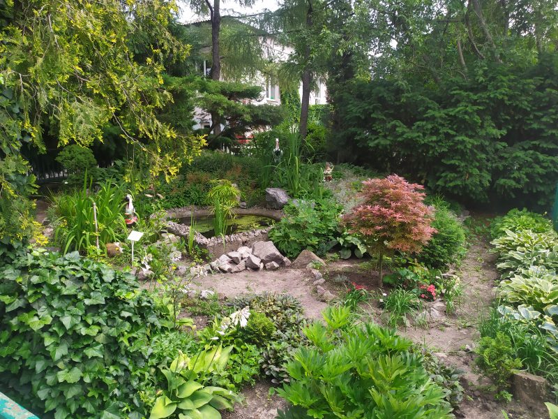 Запорожский ботанический сад