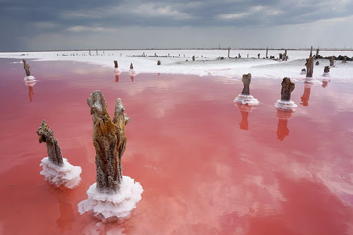 "Заграничные" чудеса в Украине: пять розовых озер, которые поражают красотой