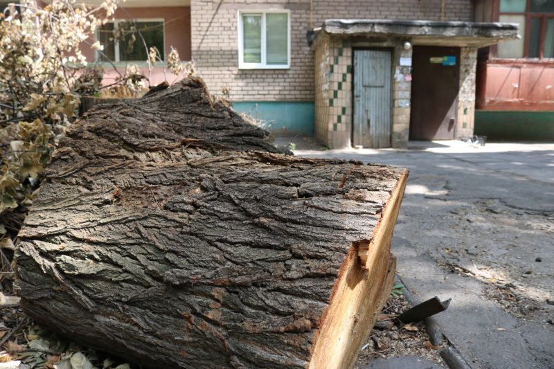 В Запорожье жители многоэтажки жалуются на опасный мусор во дворе 