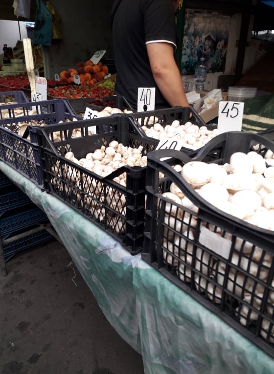 цена на грибы