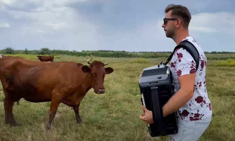 Известный музыкант из Запорожской области сыграл для коров на аккордионе - видео
