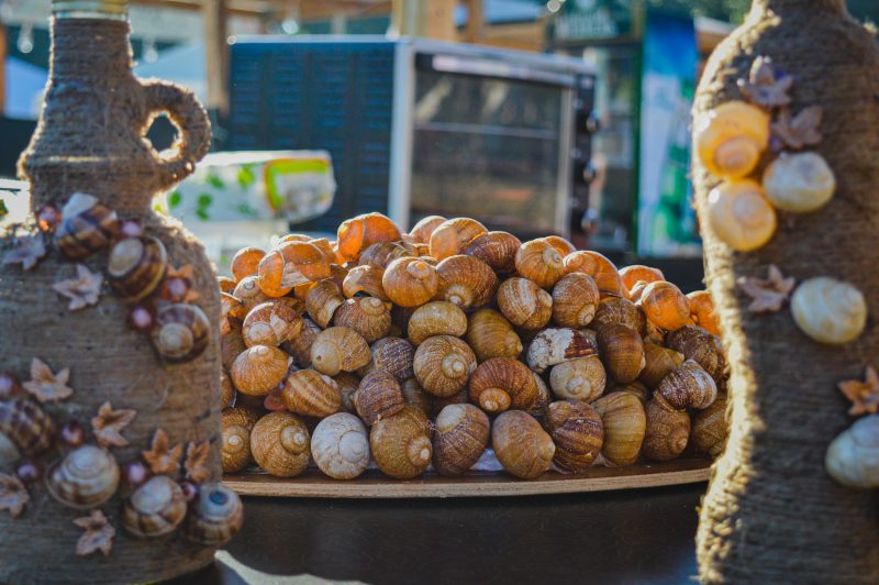 Уличная еда, керамические черепа и развлечения - в Запорожье проходит гастрономический фестиваль
