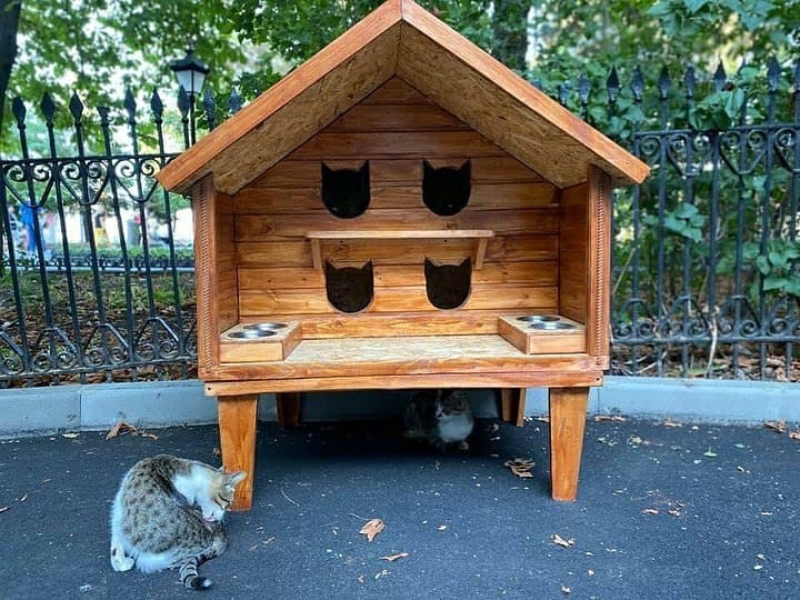 домик для котов