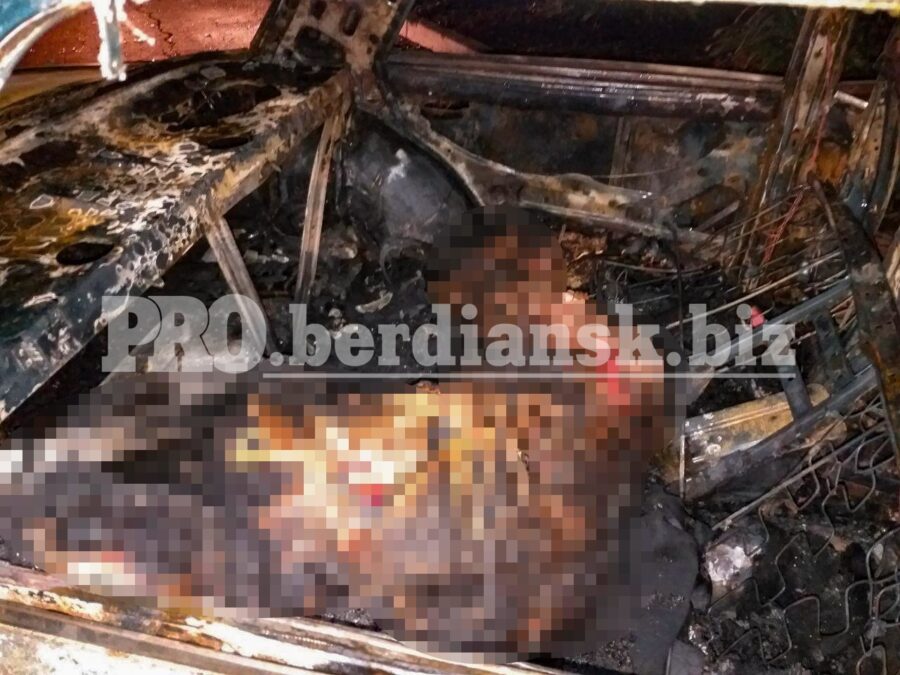 ДТП в Запорожской области: водитель сгорел заживо в машине (ФОТО)