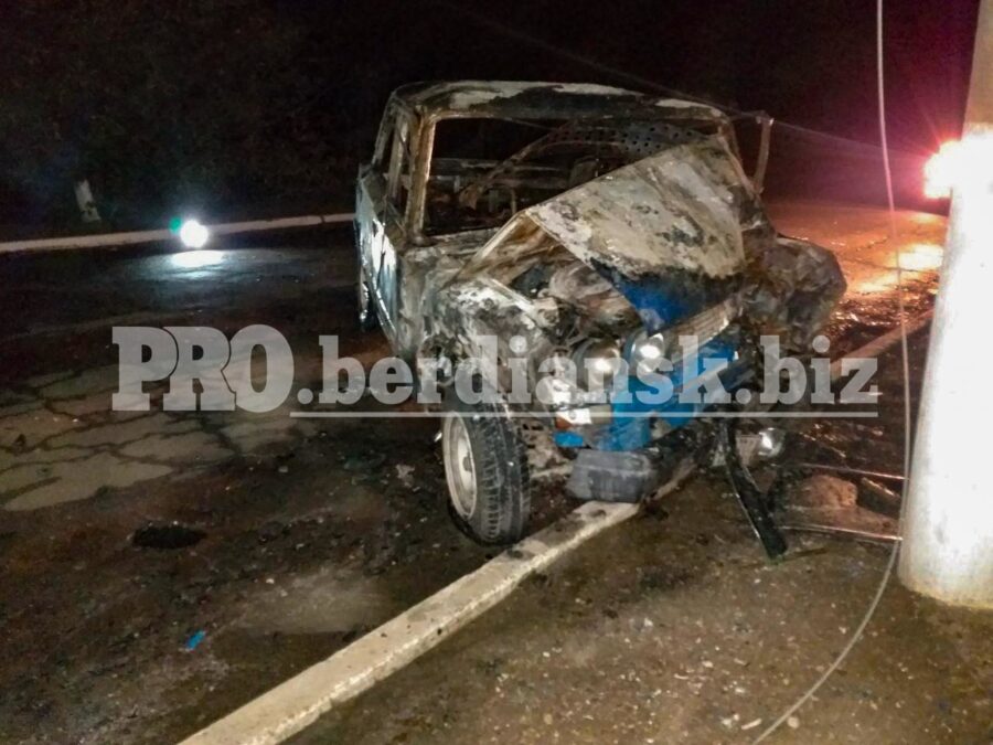 ДТП в Запорожской области: водитель сгорел заживо в машине (ФОТО)