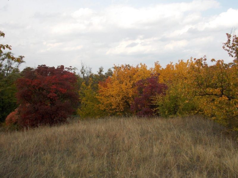 Как выглядит осенью Национальный природный парк Запорожской области 