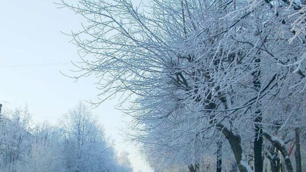Стало известно, какой будет зима в Запорожской области, - ГСЧС