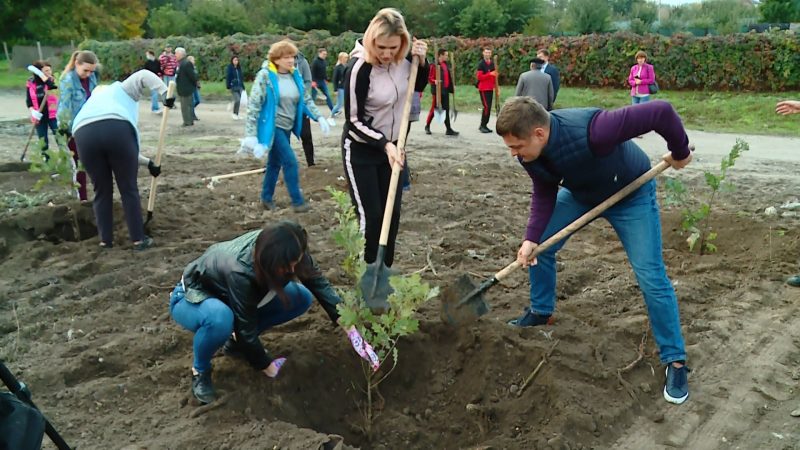 До висадки молодих дерев у селі Біленьке долучилися представники обласної влади