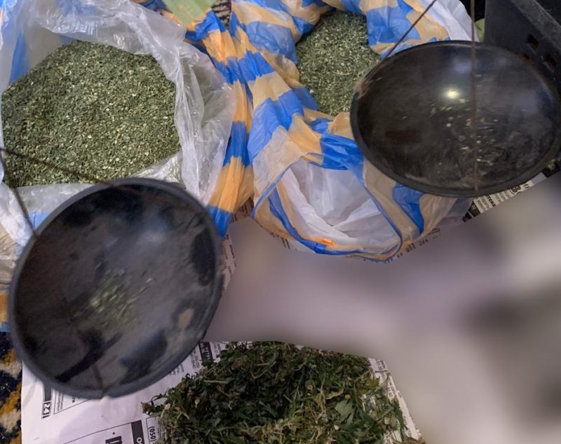 У жителя Запорожской области изъяли наркотики на полмиллиона гривен 