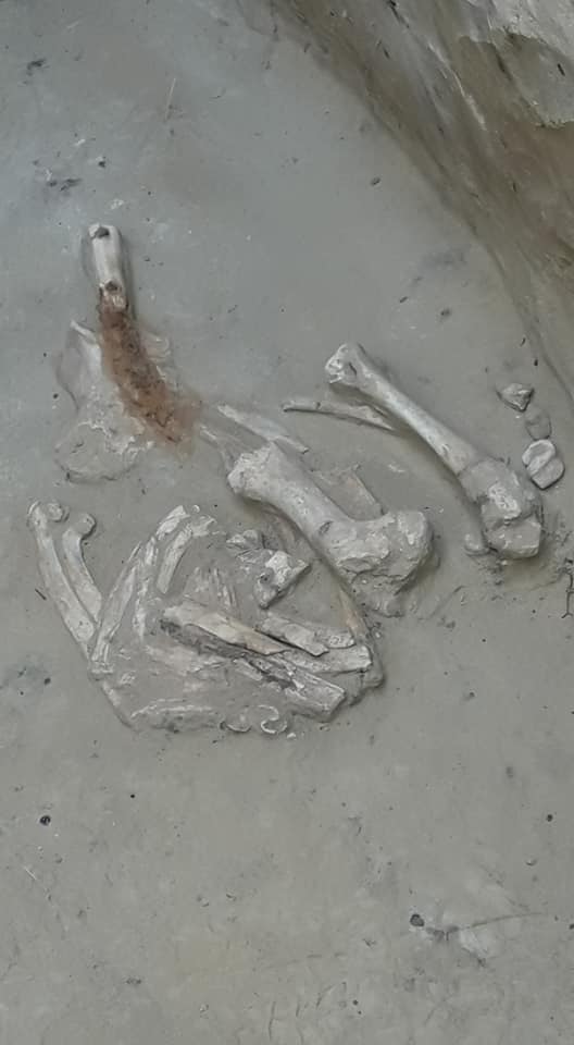 Уникальная находка: на Хортице нашли скифское захоронение, которому более двух тысяч лет