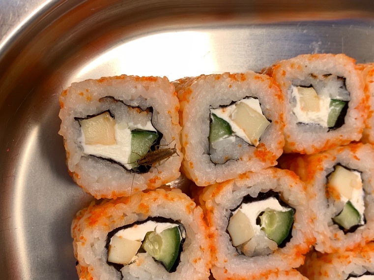 Неприятный бонус: жителю Запорожья доставили суши с живым тараканом внутри (ВИДЕО)