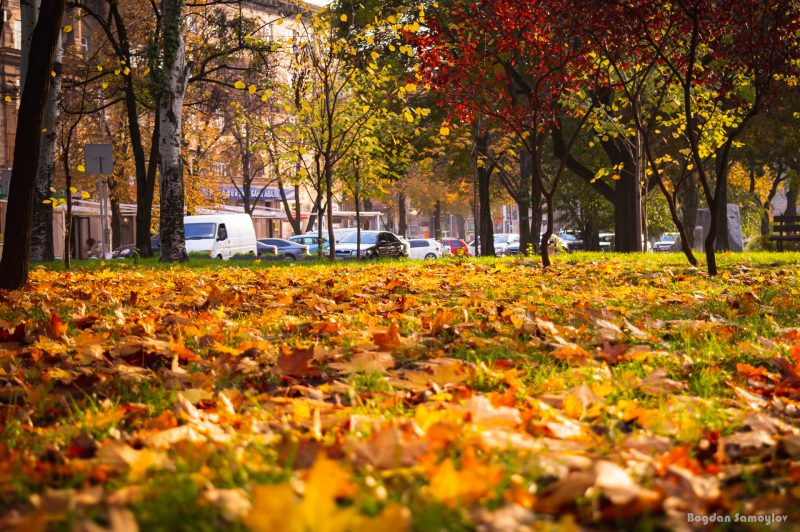 Яркая осень в самом центре Запорожья - фото