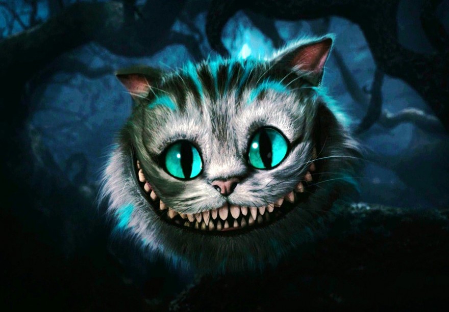 Курьёз: в Запорожье живёт кот, который умеет улыбаться (ФОТО)