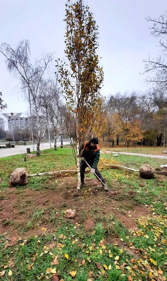 В одном из парков Запорожья высадили деревья 
