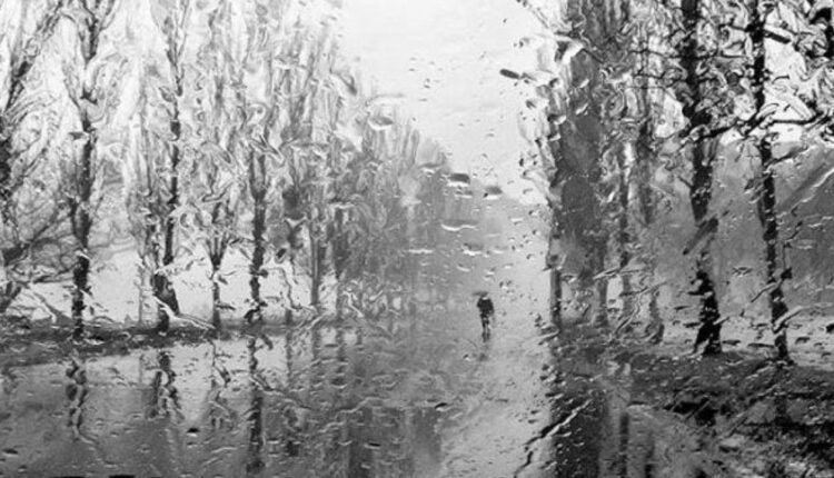 В Запорожской области ухудшится погода: объявлено штормовое предупреждение, – ГСЧС