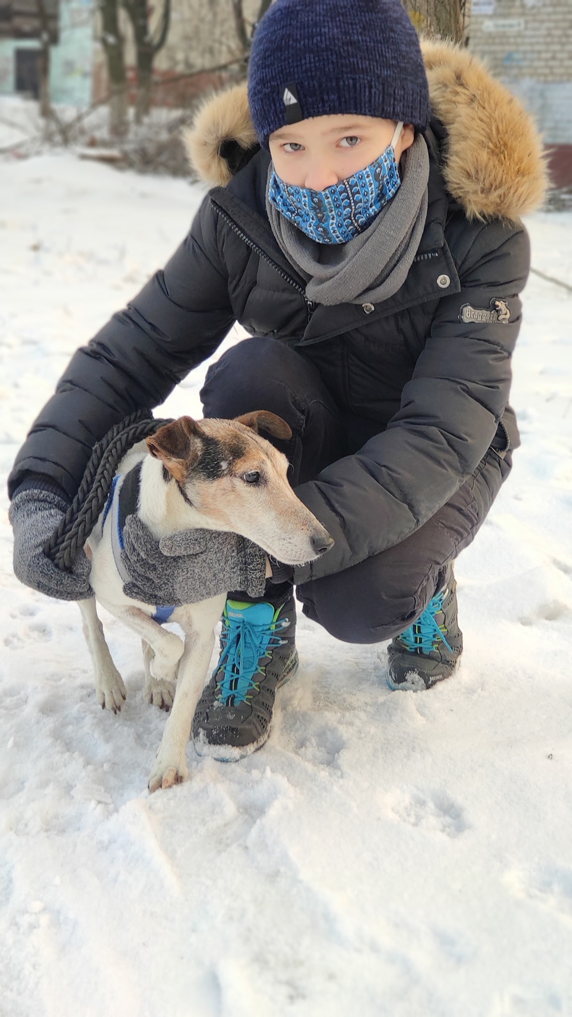 Трогательная история: в Запорожье спасли "влюбленных" собак (ФОТО, ВИДЕО)