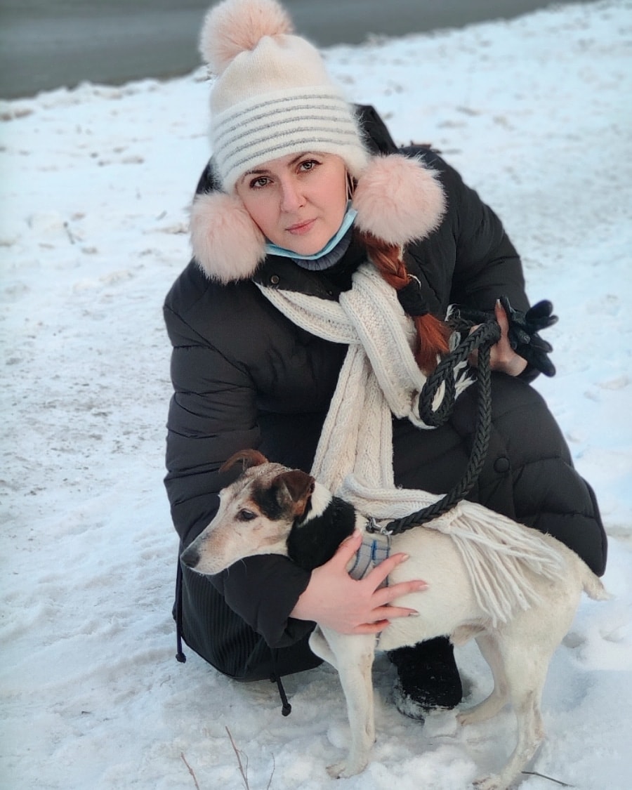 Трогательная история: в Запорожье спасли "влюбленных" собак (ФОТО, ВИДЕО)
