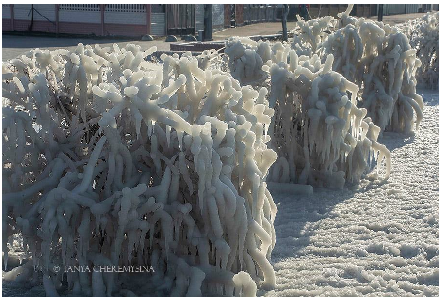 Курортный город в Запорожской области превратился в ледовую сказку (ФОТО)