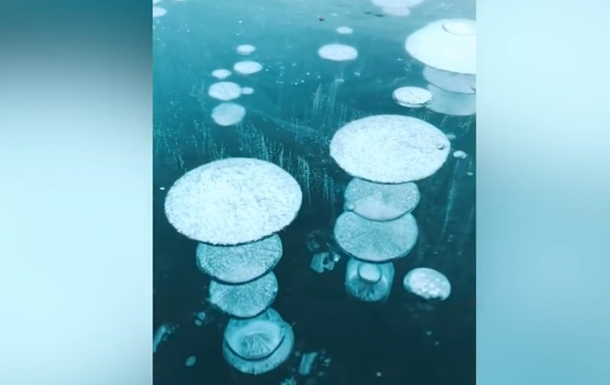 В курортном городе Запорожской области в Азовское море вмёрзли медузы (ФОТО)