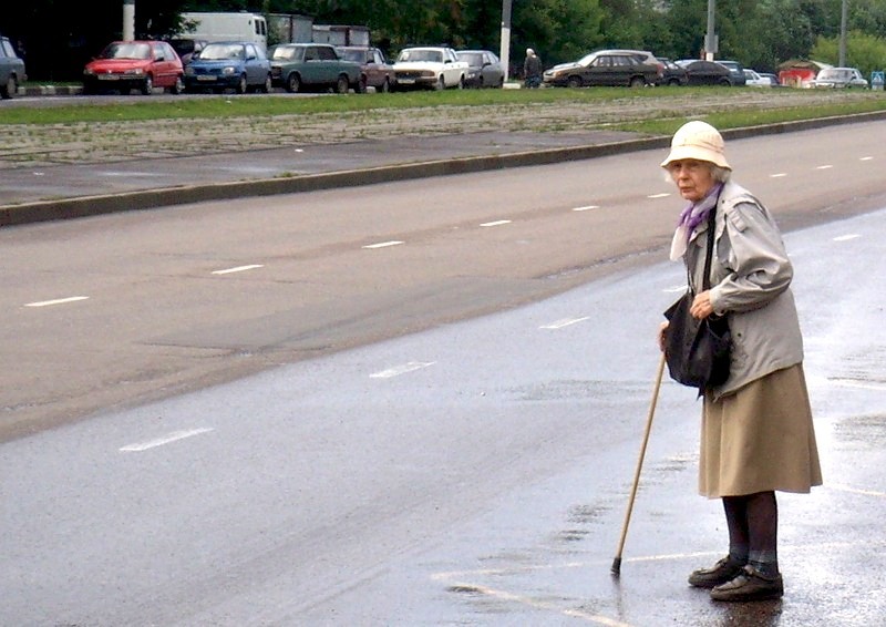 В Запорожской области пенсионерка создала аварийную ситуацию на дороге (ВИДЕО)