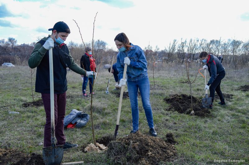 400 деревьев высадили металлурги совместно с Зелёным центром Метинвеста на берегу Днепра