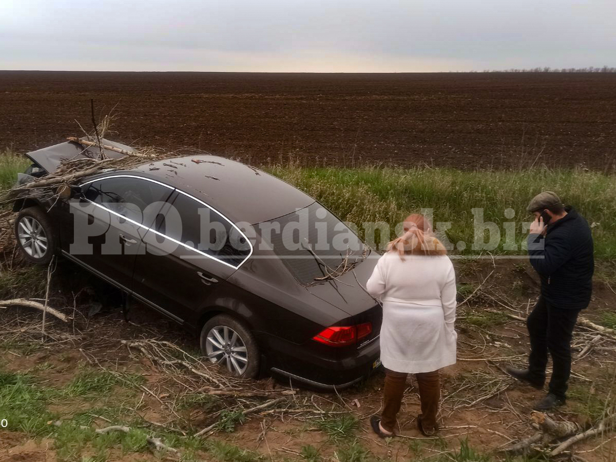 Нетрезвая автоледи сбила дерево на трассе Васильевка-Бердянск