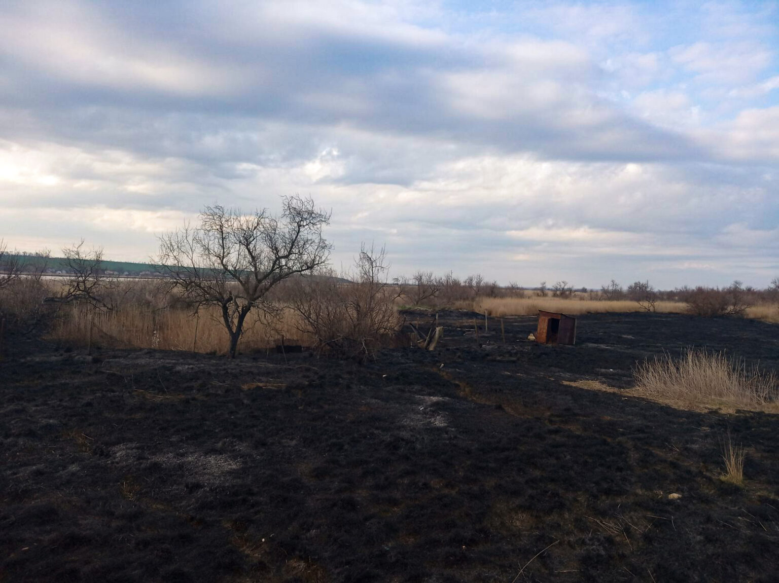 В Бердянске школьники устроили масштабный пожар: выгорели гектары заказника (ВИДЕО)