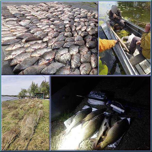 Впродовж травня у правопорушників вилучено 213 заборонених знарядь лову та понад тонну незаконно добутих водних біоресурсів,- рибоохоронний патруль Запоріжчини