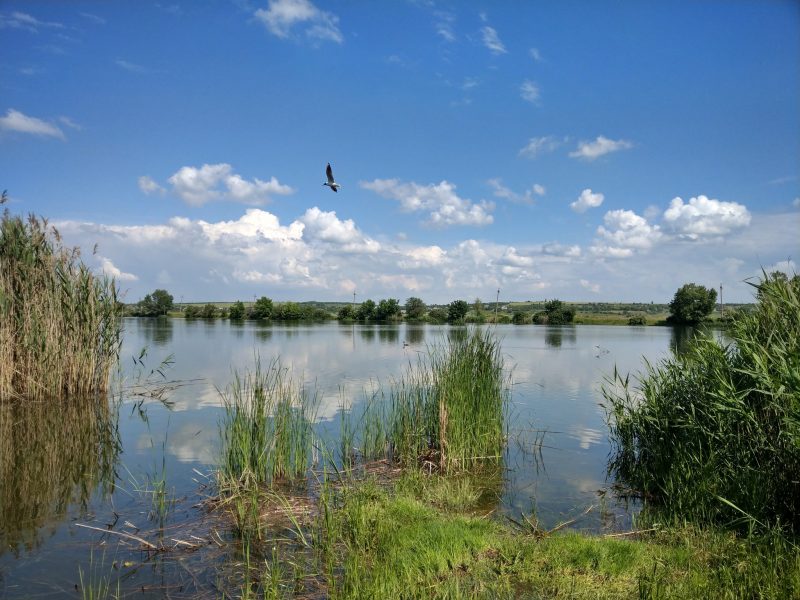 Фотограф показал живописные пейзажи в окрестностях Запорожья - фото 