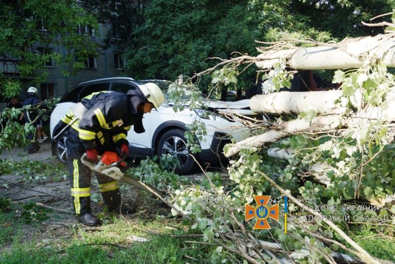 В Запорожской области затопило подвалы и обрушило на машины деревья