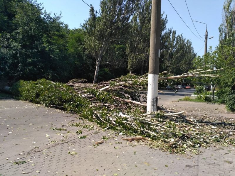 Сегодня утром в Мелитополе тополь перекрыл проезжую часть дороги