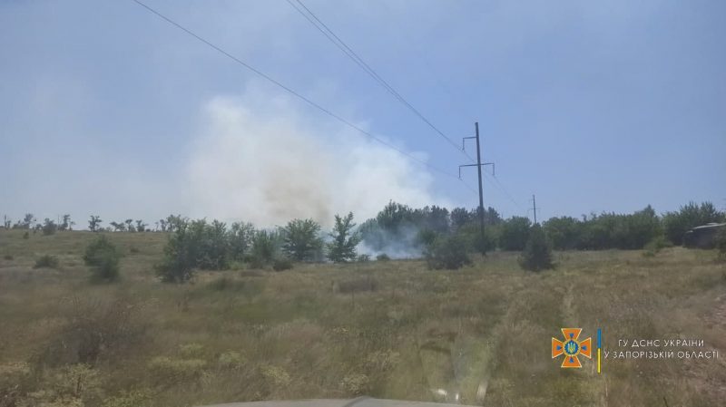 В Запорожской области за сутки случилось 11 пожаров на природе
