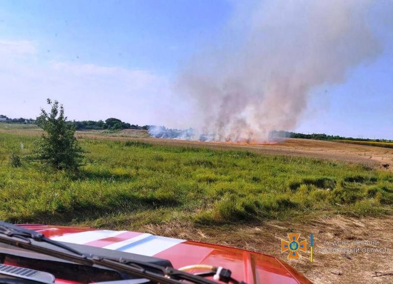 В Запорожской области за сутки случилось пять пожаров на природе