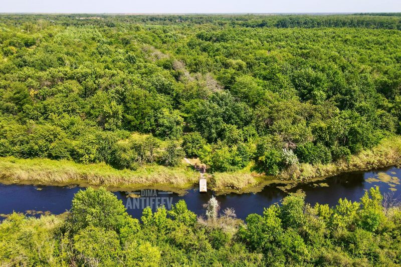 Невероятная красота: как выглядят лес и река в Запорожской области с высоты 