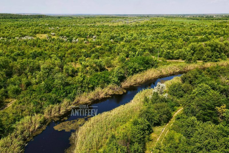 Невероятная красота: как выглядят лес и река в Запорожской области с высоты 