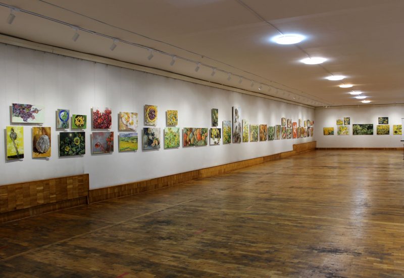 В Энергодаре открылась выставка запорожской художницы