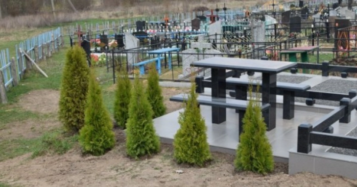 Жительница Запорожской области воровала на кладбище деревья