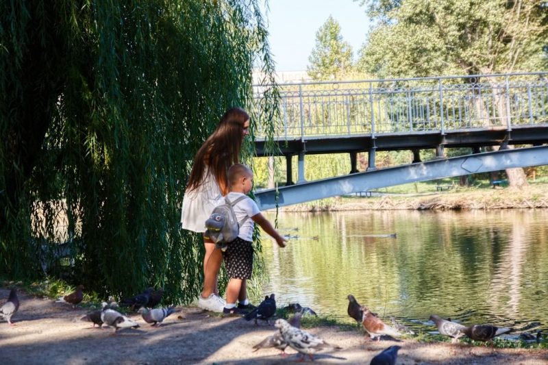 В запорожский парк "Дубовая роща" слетелись сотни птиц