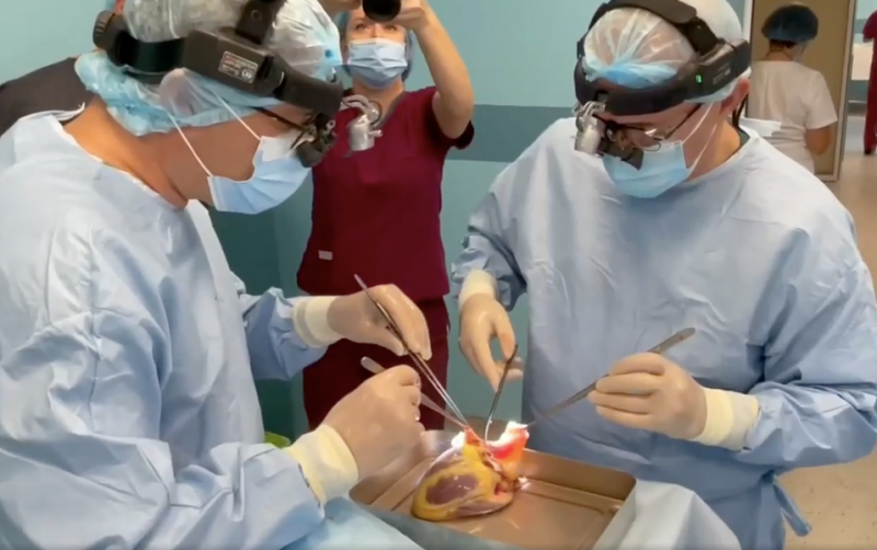 В Украине провели первую операцию по пересадке сердца ребенку