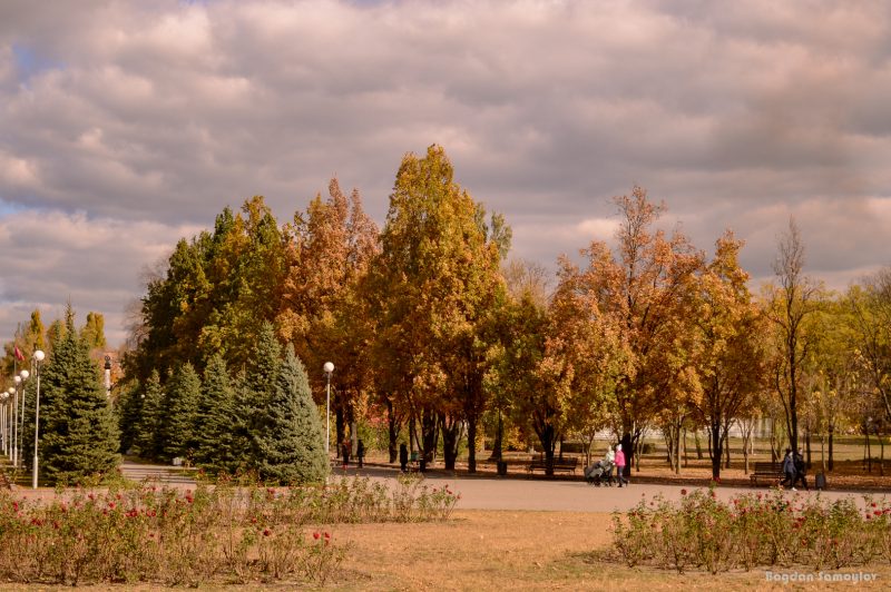 Как в центре Запорожья выглядит осенний парк - фото 
