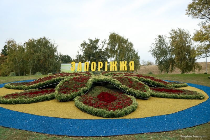 Огромный цветок и музыкальные инструменты из хризантем: как выглядит праздничная композиция в запорожском парке