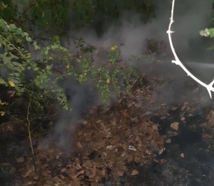 В Мелитополе на территории школы вспыхнул пожар (ФОТО)