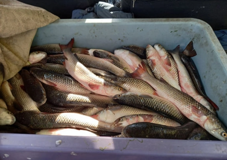 В Запорожской области изъяли более 1000 кг рыбы без документов (ФОТО)