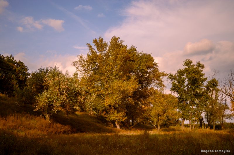 Завораживающая красота: запорожский фотограф показал живописные осенние пейзажи